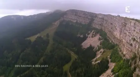 (Fr3) Des racines et des ailes - Passion patrimoine, des Vosges au lac Léman (2015)