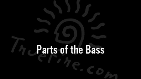 TrueFire - Stu Hamm U: Bass Basics [repost]