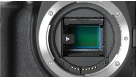Udemy – Complete guide of Cleaning a Digital Camera Sensor
