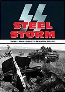 SS Steel Storm