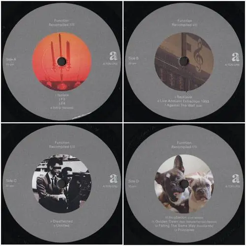 Function - Recompiled I/II (2017) {vinyl rip}