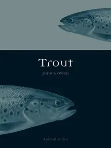 Trout (Animal)
