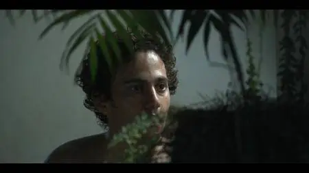 Cinco / Five (2010)