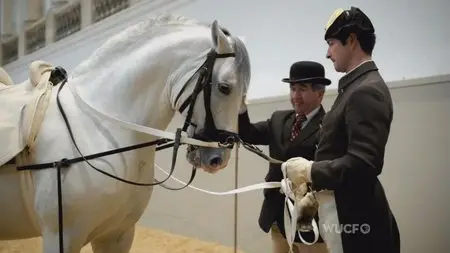 PBS - Legendary White Stallions (2013)