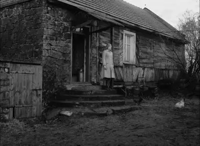 Ida (2013)