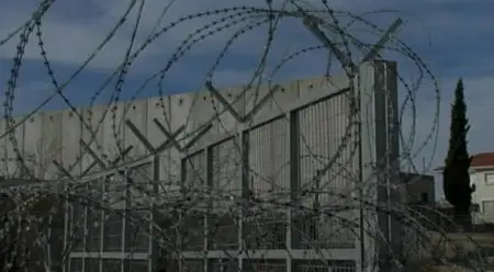 The Colour of Olives (2006)