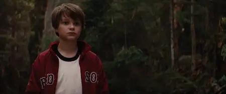 Charlie St. Cloud (2010)