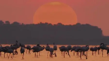A World of Calm S01E03