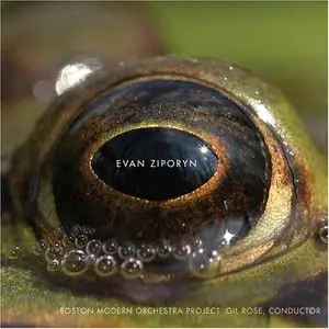 Evan Ziporyn - Frog's Eye (2006)