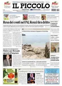 Il Piccolo TS/GO - 06.01.2014