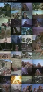 Phoenix the Warrior (1988) 