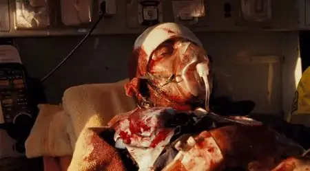The Girl Who Kicked The Hornets Nest (2009)
