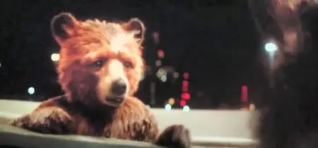 Paddington (2014)