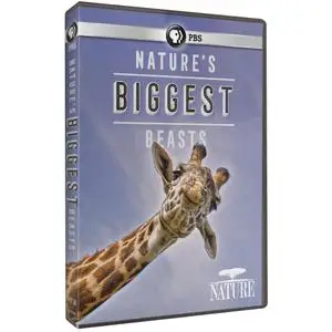 PBS - NATURE: Nature's Biggest Beasts (2019)