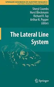 The Lateral Line System (Repost)