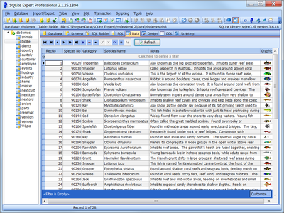 SQLite Expert Professional 2.2.7.1908 Portable