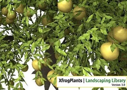 XfrogPlants Version 3.0 Landscaping Library vol.2