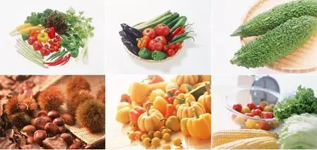 Datacraft Sozaijiten Vol. 093 - Vegetables in Season