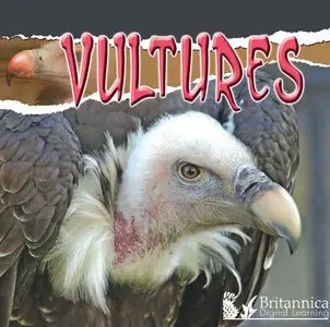 Vultures (Raptors) (repost)