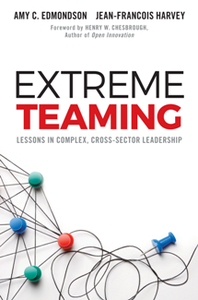 Extreme Teaming : Lessons in Complex, Cross-Sector Leadership