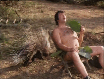 Im Dschungel ist der Teufel los (1982)