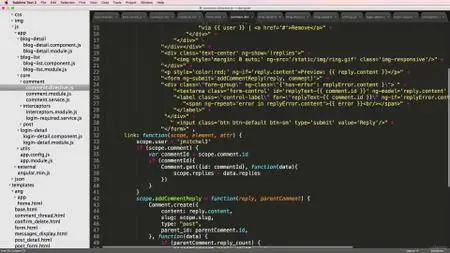 Django + AngularJS for a Powerful Web Application (2016)