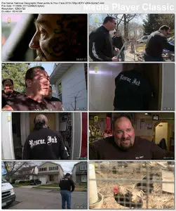 National Geographic - Rescue Ink In Your Face (2010)