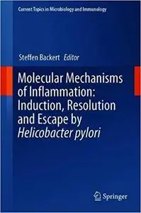 Molecular Mechanisms of Inflammation: Induction, Resolution and Escape by Helicobacter pylori