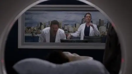 Grey's Anatomy S15E23