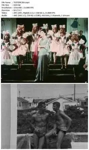 Before Stonewall (1984)