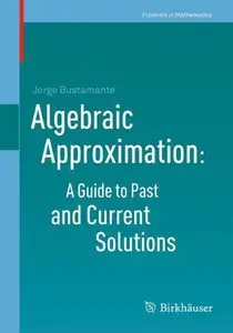 Algebraic Approximation: A Guide to Past and Current Solutions (repost)