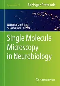 Single Molecule Microscopy in Neurobiology