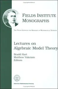 Lectures on Algebraic Model Theory
