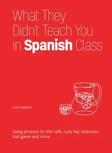 What They Didn't Teach You in Spanish Class: Slang Phrases for the Café, Club, Bar, Bedroom, Ball Game and More