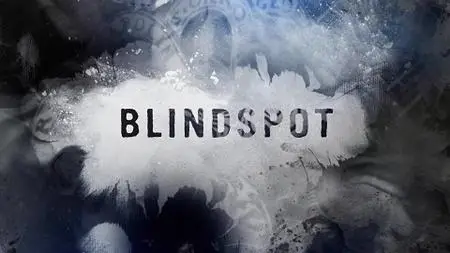 Blindspot S02E16