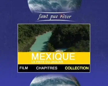 FAUT PAS REVER : MEXIQUE, LA PISTE DU JAGUAR