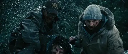 The Grey (2011)