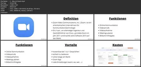 Zoom Videokonferenz: Online Meeting Für Das Home-Office