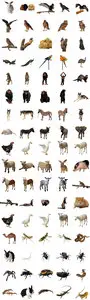 Cliparts "Animals"