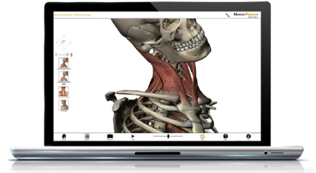 Visible Body Muscle Premium v3.1.3