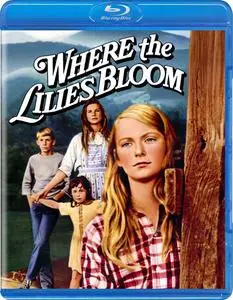 Where the Lilies Bloom (1974) [w/Commentary]