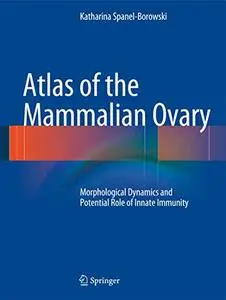 Atlas of the Mammalian Ovary: Morphological Dynamics and Potential Role of Innate Immunity