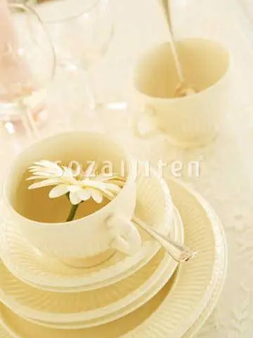 Datacraft Sozaijiten Vol 170 Interior Flowers