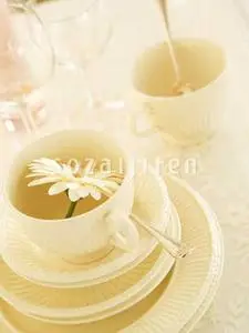 Datacraft Sozaijiten Vol 170 Interior Flowers