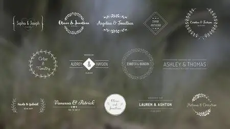 Wedding Titles - Project for After Effects (VideoHive)