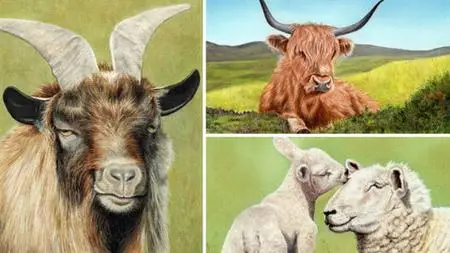 How To Draw Farm Animals Vol 2 - Cow, Goat And Lambs