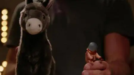 Hawaii Five-0 S08E11