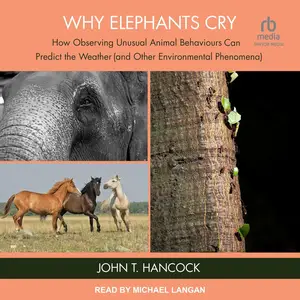 Why Elephants Cry: How Observing Unusual Animal Behaviours Can Predict the Weather