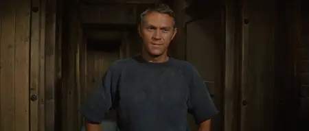 The Great Escape (1963) [MultiSubs]