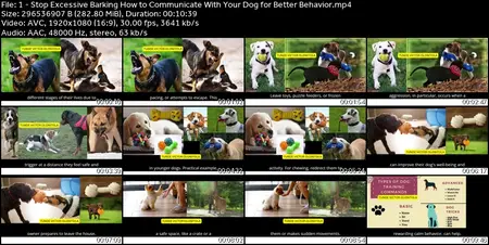 Transform Your Dog's Behavior Through Communication,Training